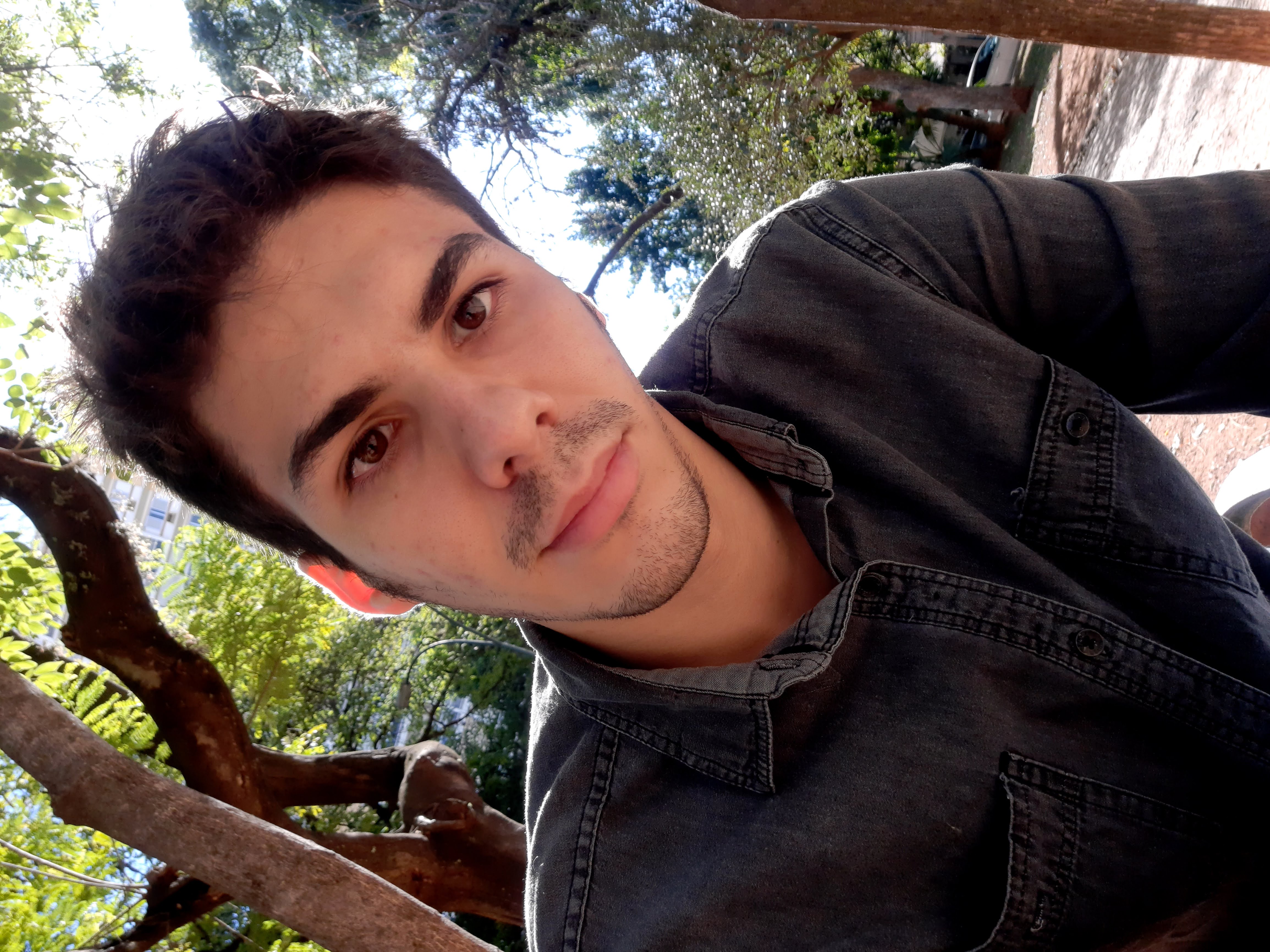 Luiz Ramos